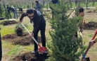 Тысячи новых деревьев высадили в Карагандинской области за последние дни