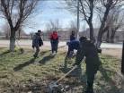 Марафон чистоты: более 37 тысяч человек приняли участие в субботнике в Карагандинской области