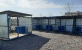 Когда в Караганде начнет работу центр временного содержания для бездомных животных