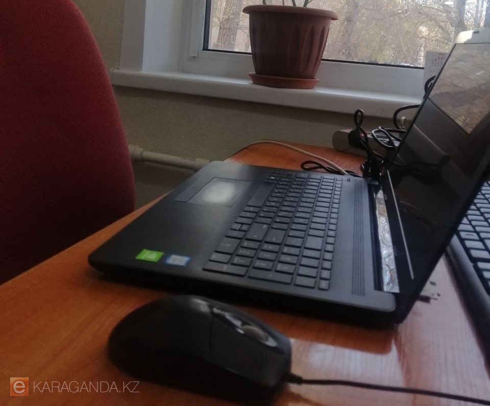 Сервис, где можно онлайн узнать о состоянии родных в больницах, пилотно запустят в Казахстане