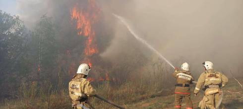 Как специалисты готовятся к возможным лесным пожарам в Карагандинской области