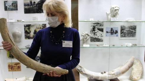 Экспозицию «Бивень мамонта» представят в темиртауском музее