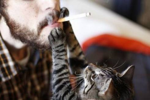 Бездомные котики vs курения