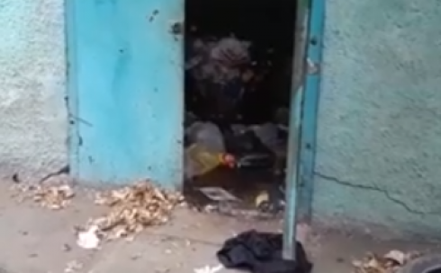 Крысы поселились в мусоропроводе одного из жилых домов Караганды