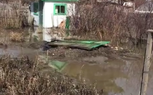 Карагандинцы жалуются на подтопление фёдоровских дач водой из канализационного коллектора