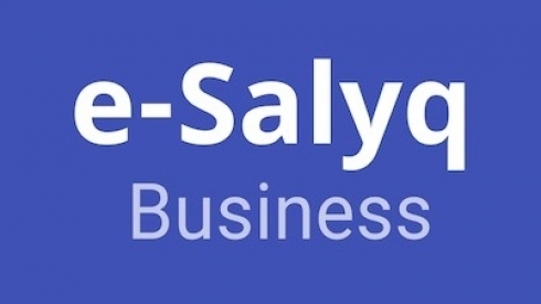 С 1 января начнёт работать мобильное приложение e-Salyq Business для индивидуальных предпринимателей