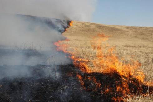 В Карагандинской области продолжают бушевать степные пожары