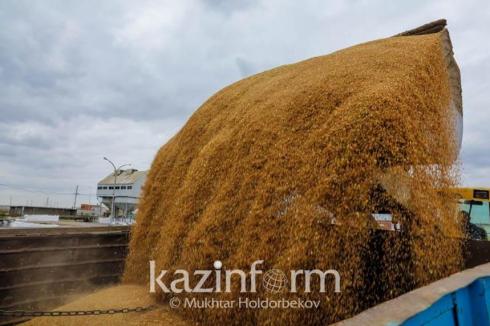 Казахстан снял ограничения на экспорт зерна и муки
