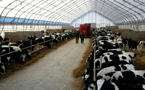 В Караганде обсудили перспективы развития отечественного мясомолочного рынка