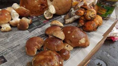 В Казахстане запретили торговать на рынках грибами и пирожками