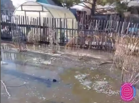 Вода из канализационных колодцев топит Федоровские дачи