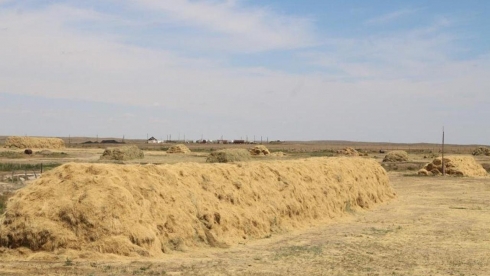 Аграрии Нуринского района на 78 процентов выполнили заготовку кормов