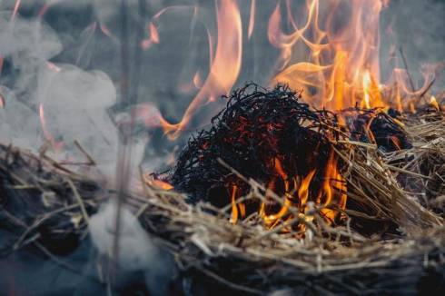 Более 500 тонн сена сгорело в одном из сел Карагандинской области