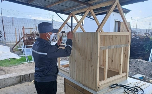 В Карагандинской области осужденный построил будку приюту для животных