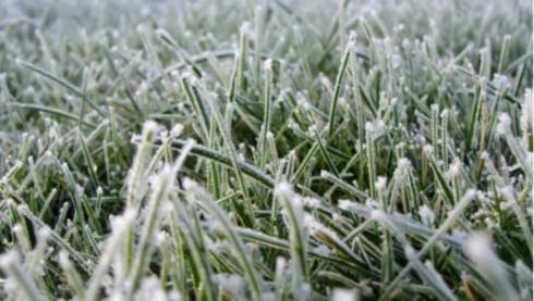 Заморозки до 8 градусов ожидаются в Карагандинской области