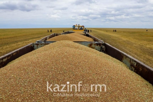 Казахстан и впредь будет надежным поставщиком зерна - Глава государства