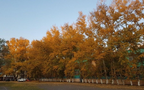 Осень в Караганде