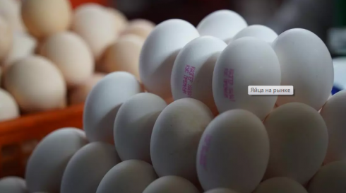Яйца казахстанского производства могут пропасть с прилавков