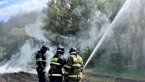 Пожар в лесу: в Караганде прошло противопожарное учение