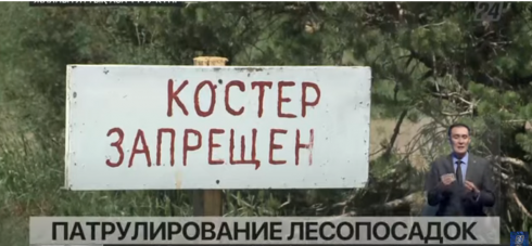 Контроль над лесопосадками усилили в Карагандинской области