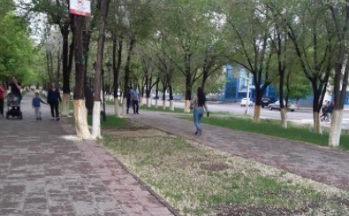 Карагандинцы просят поставить ограждения вдоль аллеи на улице Букетова