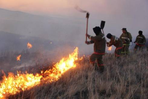 Более 300 человек по стране борются с природными пожарами