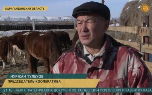 В Карагандинской области в пилотном режиме созданы молочные кооперативы