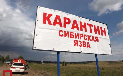 Режим ЧС в связи с сибирской язвой на зимовке в Карагандинской области снят