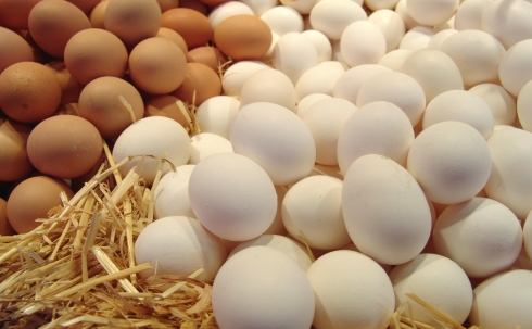 Ждать ли карагандинцам понижения цен на яйца?