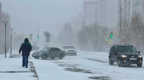 В МЧС обратились к казахстанцам из-за морозов