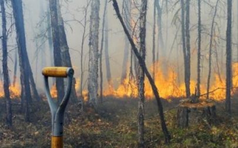 В Карагандинской области при тушении степного пожара погибли два человека 