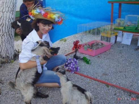 В Темиртау открылся контактный зоопарк домашних животных