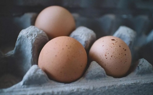 Повышение тарифов на комуслуги повлияло на рост стоимости яиц в Карагандинской области