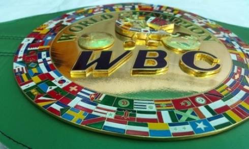 Флаг Казахстана появится на поясе WBC