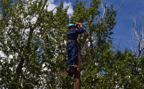 В Темиртауском районе низковольтных электрических сетей проводятся текущие и капитальные ремонты