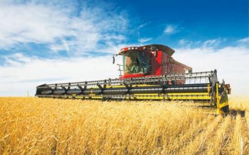 В 2020 году в Карагандинской области году будут расширены площади посевов зерновых и зернобобовых