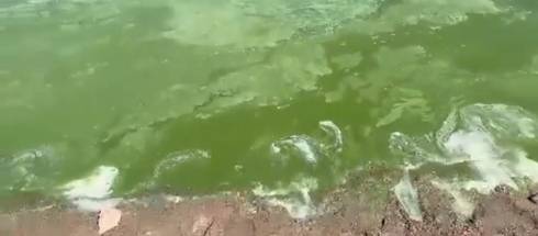 Кислотно-зеленый цвет воды в Самаркандском водохранилище напугал темиртаусцев