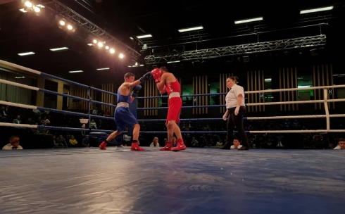 В Караганде проходят бои ¼ финала кубка Казахстанской федерации бокса