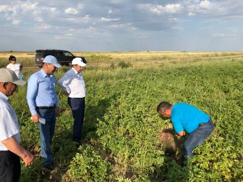 Систему орошения земель восстанавливают в Карагандинской области