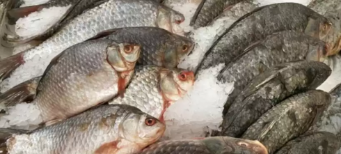 Казахстан отправляет рыбную продукцию на экспорт в 21 страну