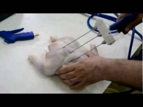 Историю с подозрительным гелем в курином мясе прокомментировали в Союзе птицеводов Казахстана