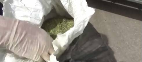 198 килограммов марихуаны изъяли полицейские у оптовых поставщиков дурмана в Карагандинской области