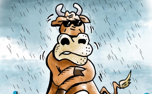 Причиной разрушения путепровода в Караганде назвали дождь и пасущийся скот