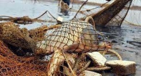 200 кг рыбы выловили браконьеры с озера Балхаш