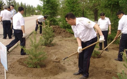 Сотрудники Департамента финансовой полиции области посадили хвойные деревья в Парке Победы 