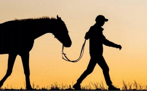 В Карагандинской области мужчина регулярно воровал лошадей у фермеров
