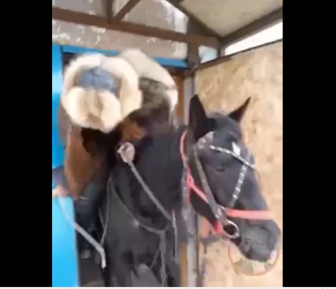 В Актогайском районе отыскали местного жителя, который заехал в подъезд на лошади