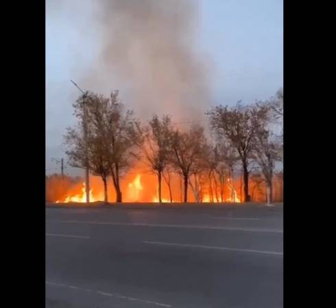 В Темиртау горела сухая трава и камыш на площади 15 гектаров