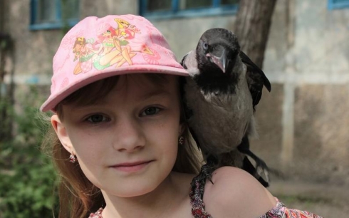 Карагандинская школьница спасла и приручила ворону