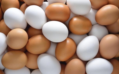 В Карагандинской области планируют произвести 606,8 миллионов штук яиц